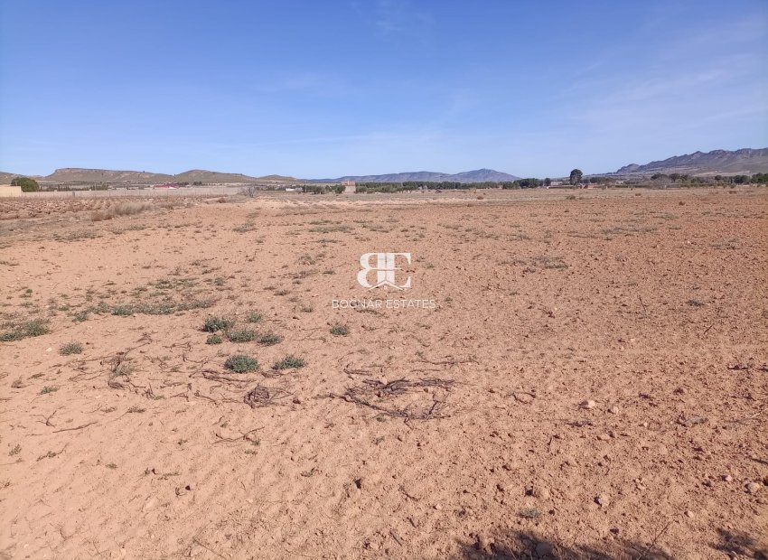 Resale - Land -
Yecla