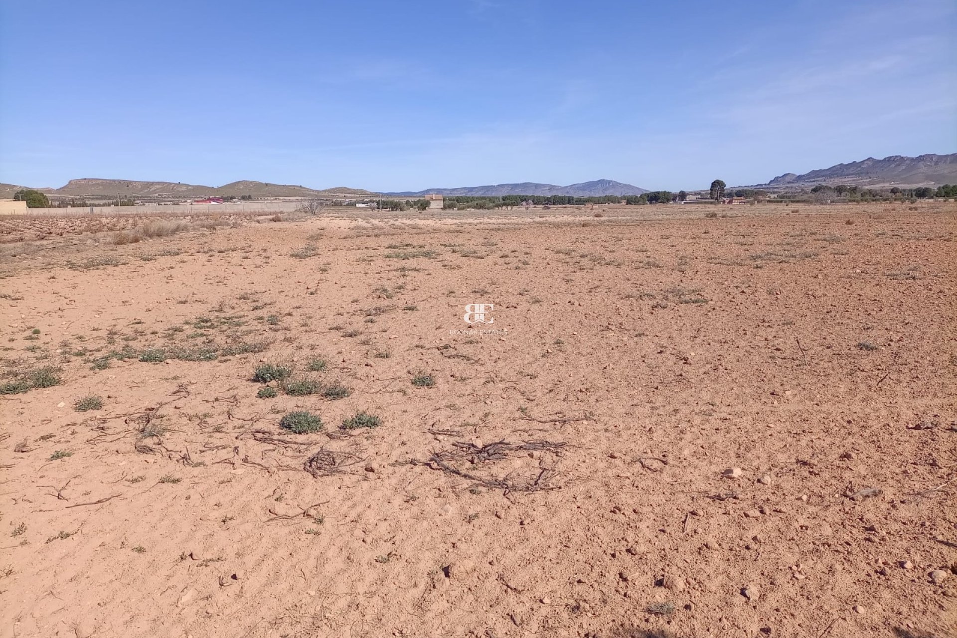 Resale - Land -
Yecla