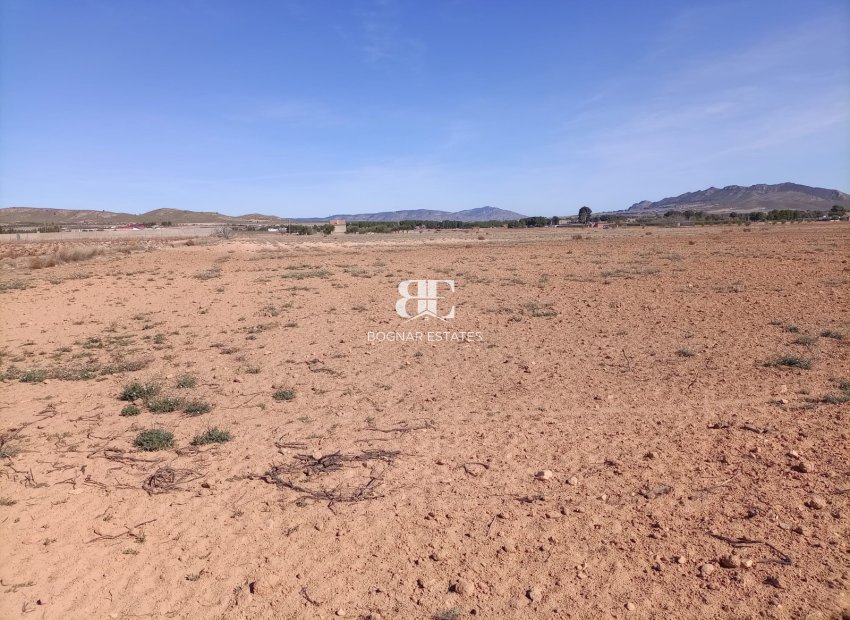 Resale - Land -
Yecla