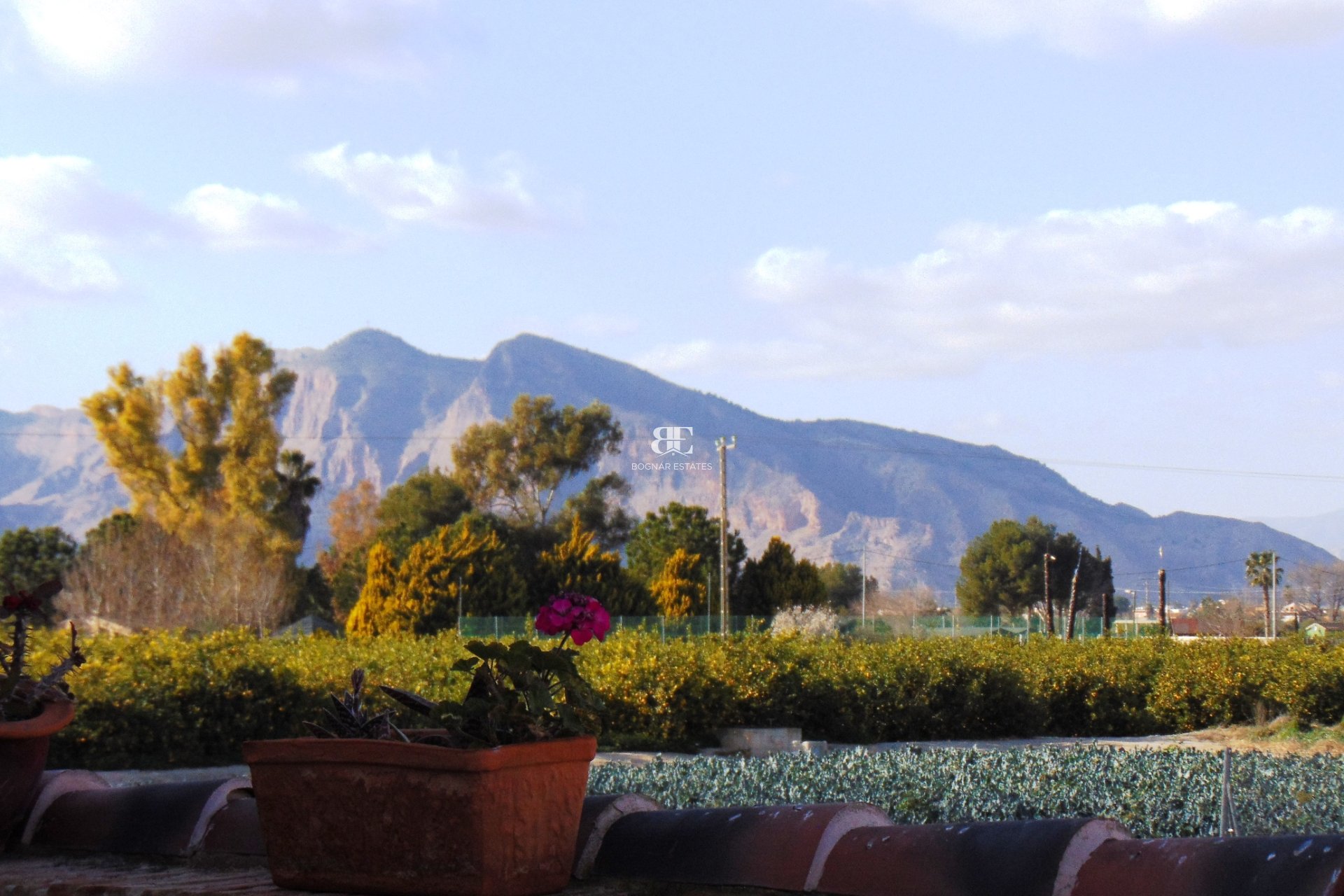 Resale - Villa -
Bigastro