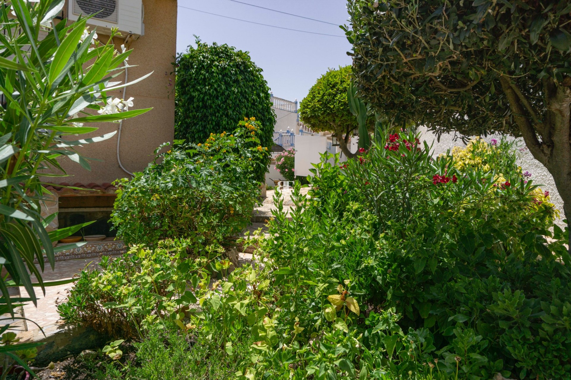 Resale - Villa -
Ciudad Quesada - La Marquesa Golf