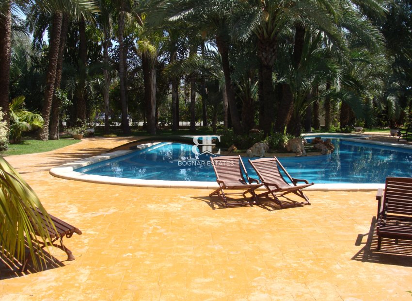 Resale - Villa -
Elche