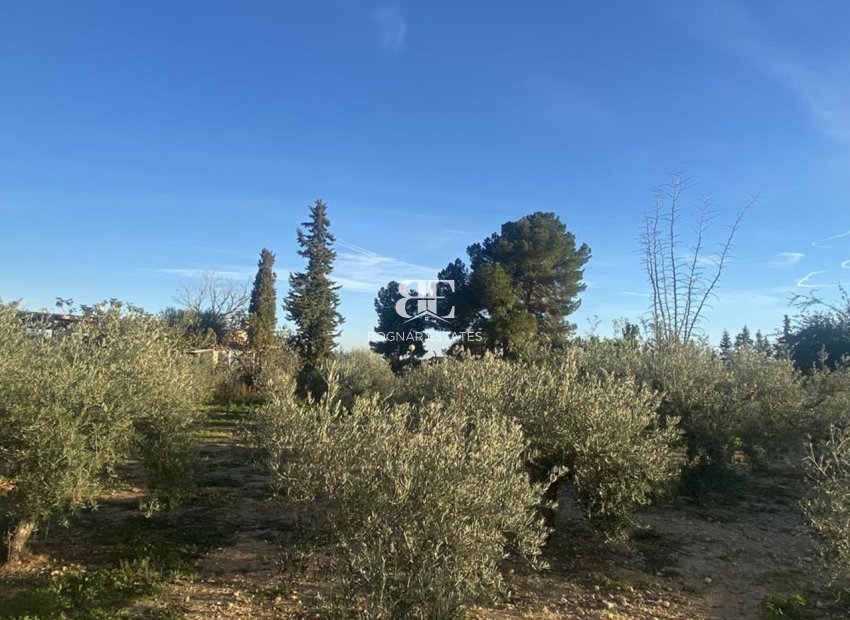 Resale - Villa -
Gea Truyols - Gea y Trujols