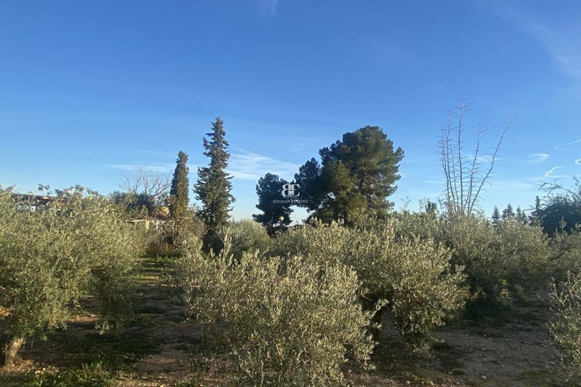 Resale - Villa -
Gea Truyols - Gea y Trujols