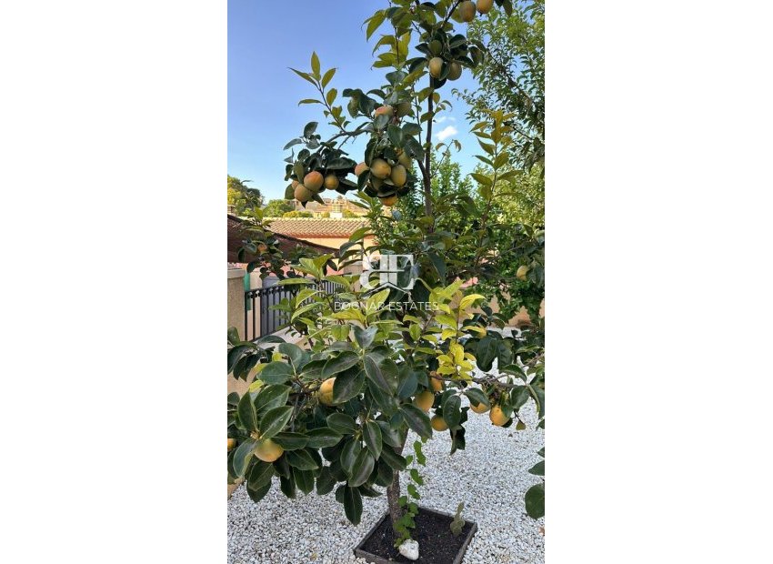Resale - Villa -
La Nucía - Monte Bello