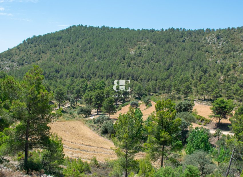Resale - Villa -
Onil