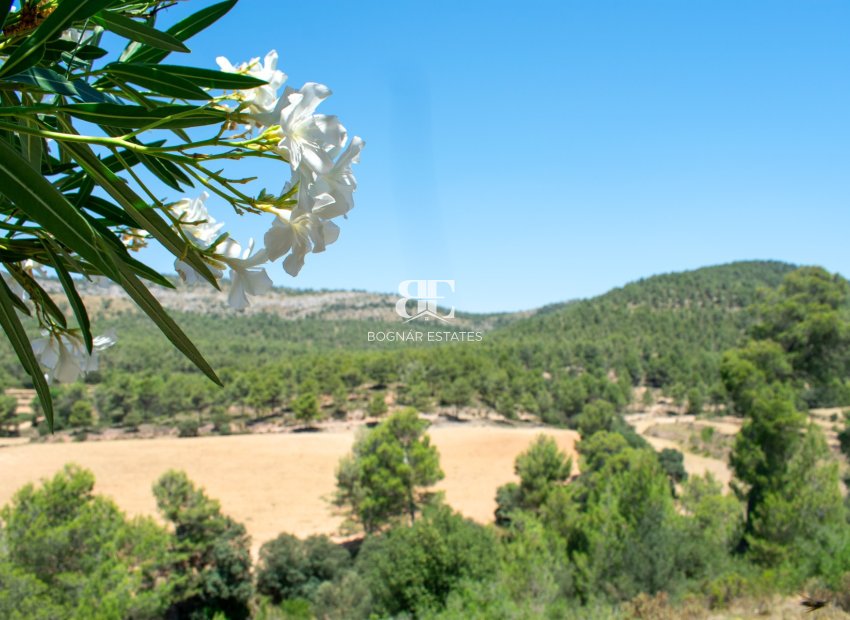 Resale - Villa -
Onil