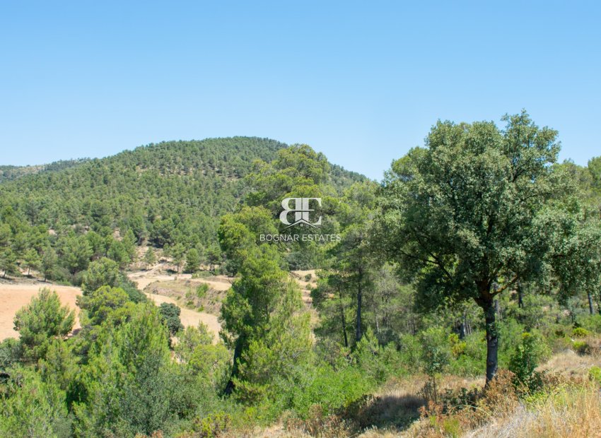 Resale - Villa -
Onil
