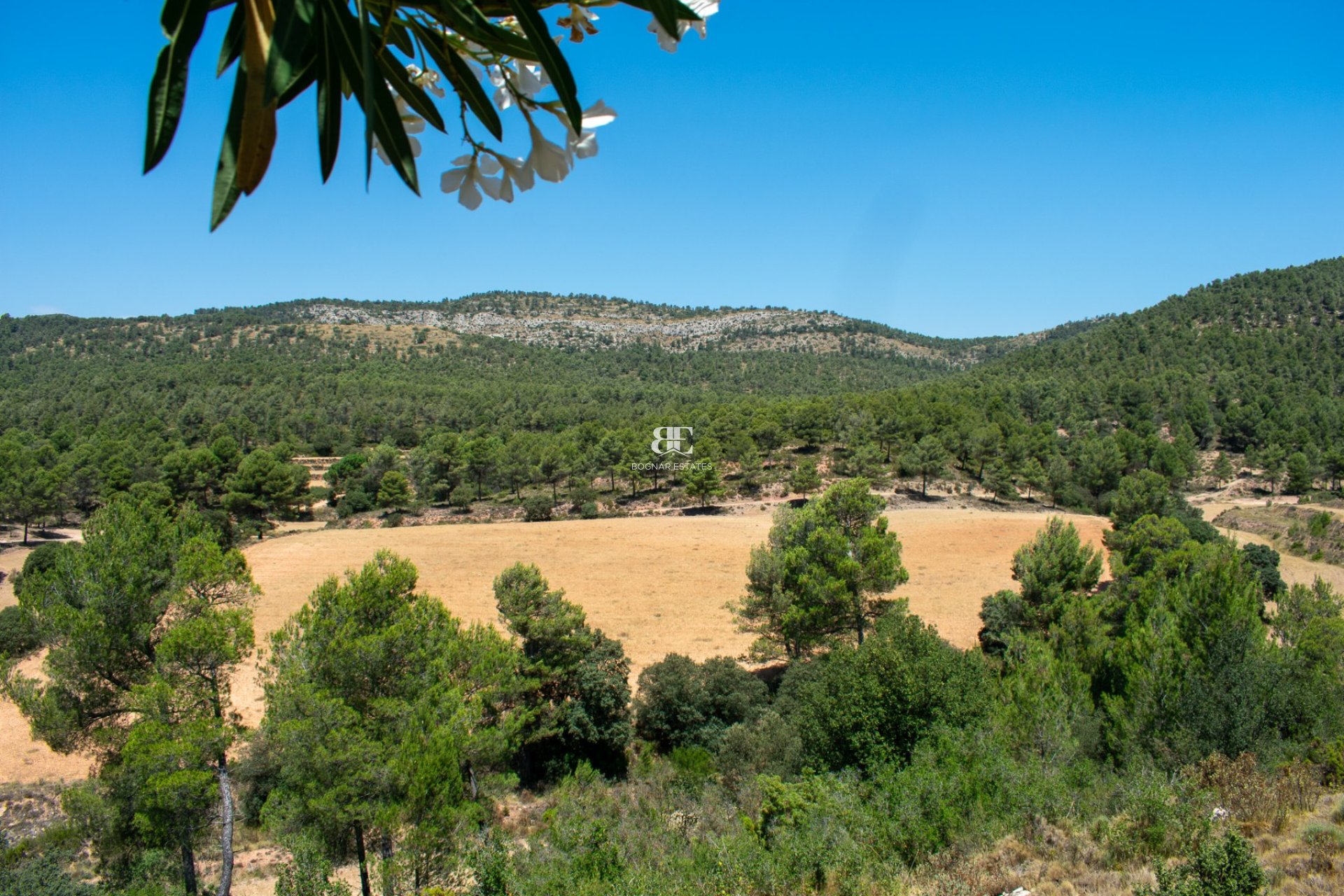 Resale - Villa -
Onil
