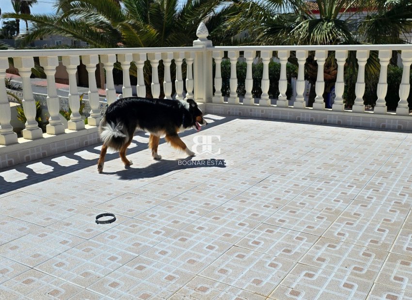 Resale - Villa -
Torrevieja - El Chaparral