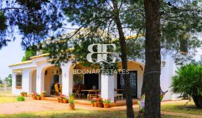 Villa - Resale - Elche -
                Elche