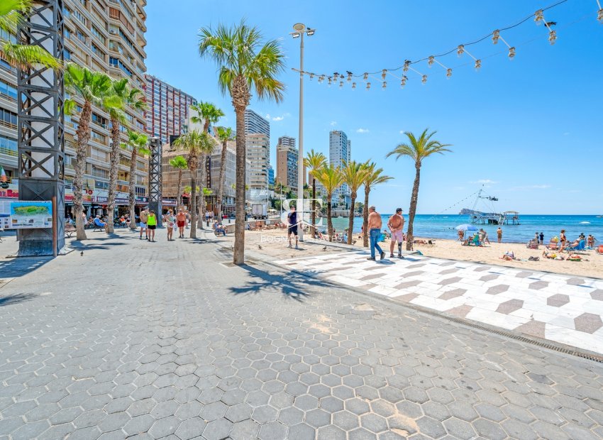 Wiederverkauf - apartment -
Benidorm* - Levante*