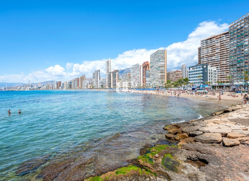 Wiederverkauf - apartment -
Benidorm* - Levante*