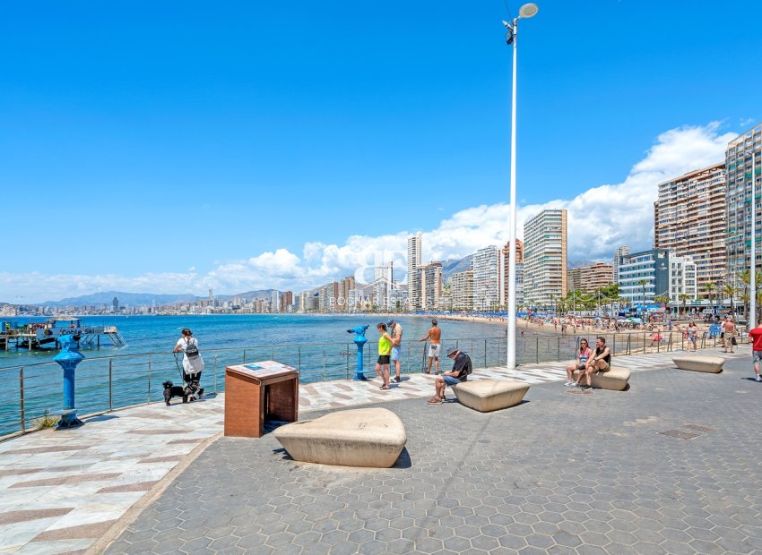 Wiederverkauf - apartment -
Benidorm* - Levante*
