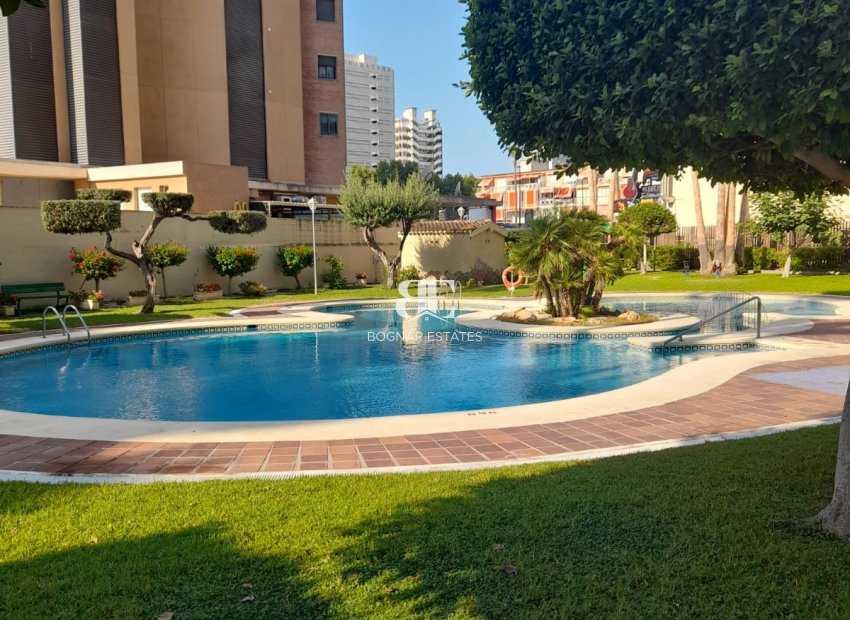 Wiederverkauf - apartment -
Benidorm - Levante