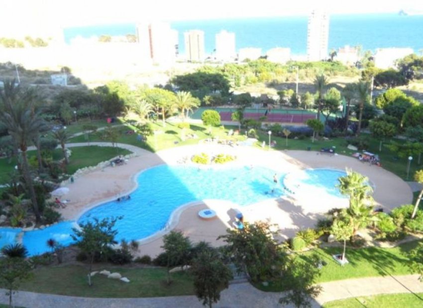 Wiederverkauf - apartment -
Benidorm - Poniente