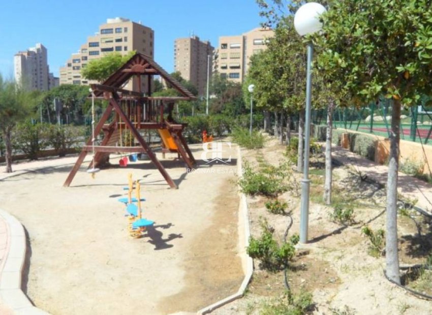Wiederverkauf - apartment -
Benidorm - Poniente