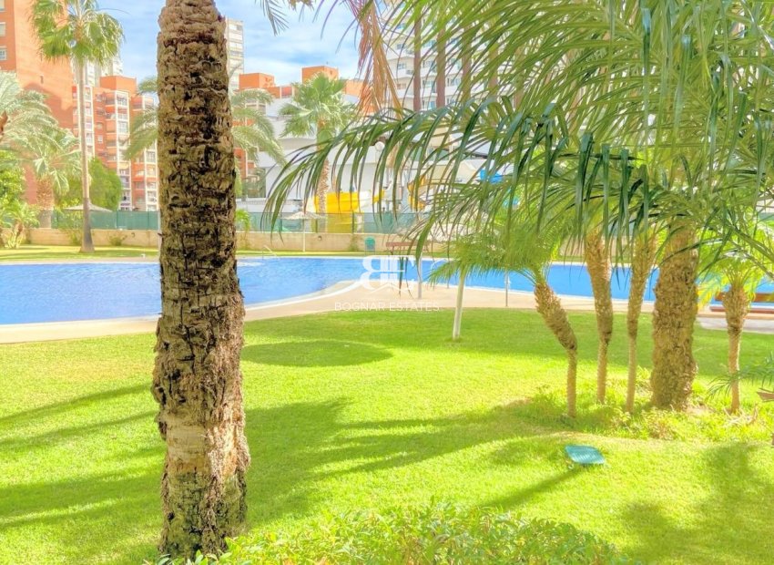 Wiederverkauf - apartment -
Benidorm - Rincon de Loix Llano