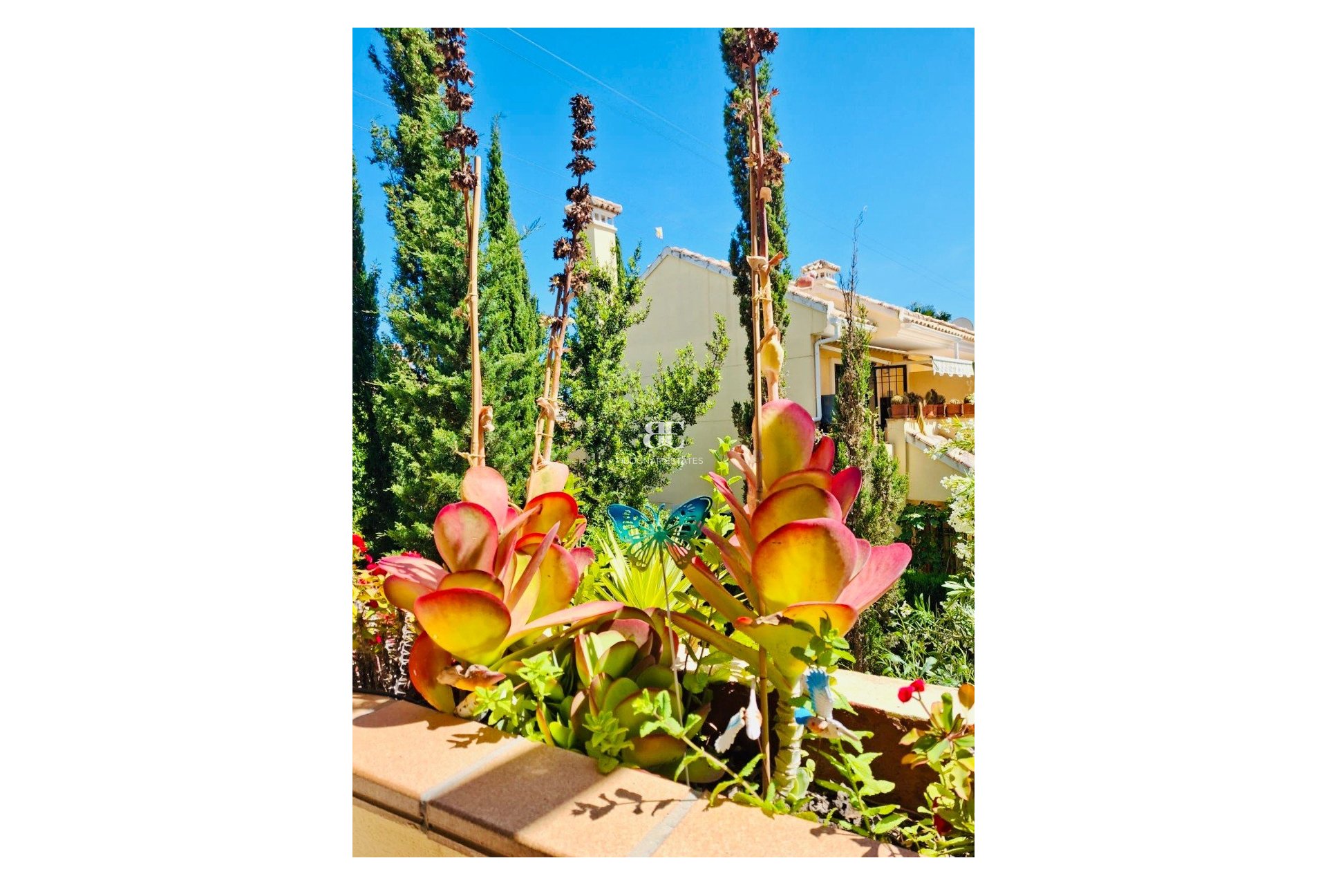 Wiederverkauf - apartment -
Orihuela Costa - Lomas de Campoamor