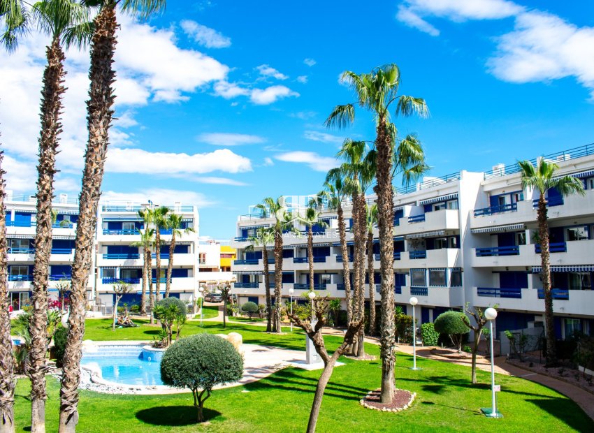Wiederverkauf - apartment -
Orihuela Costa - Playa Flamenca