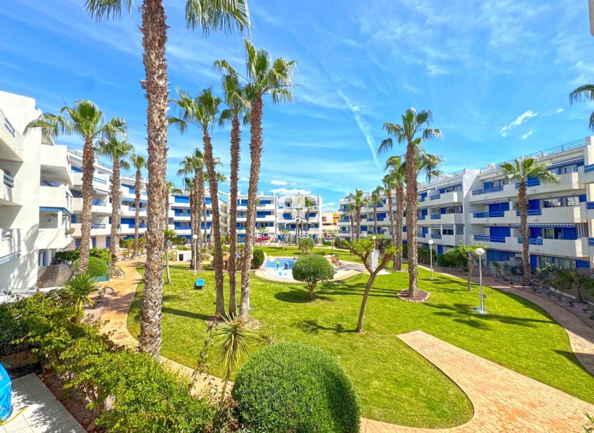 Wiederverkauf - apartment -
Orihuela Costa - Playa Flamenca