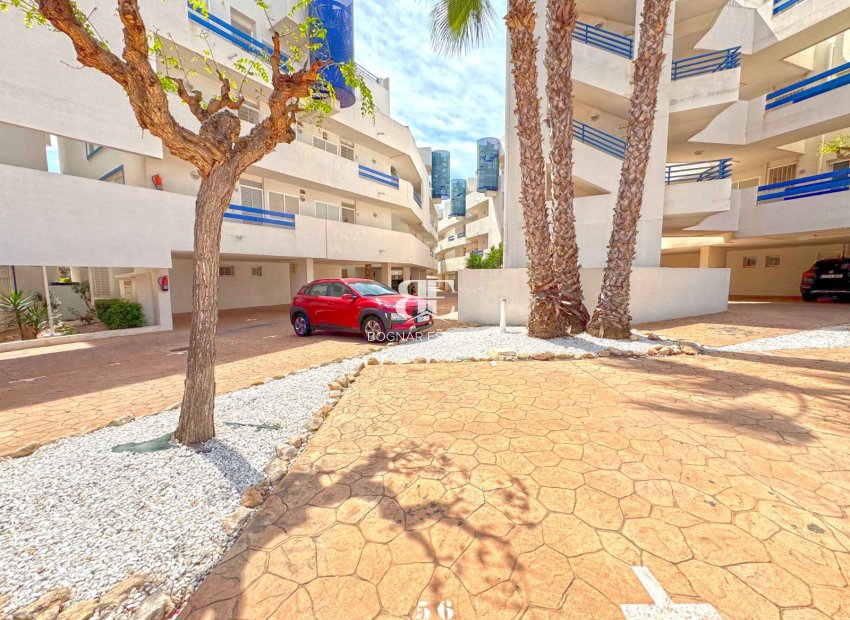 Wiederverkauf - apartment -
Orihuela Costa - Playa Flamenca