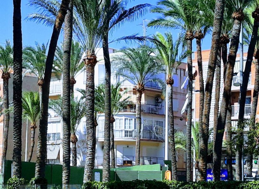 Wiederverkauf - apartment -
Santa Pola - Center