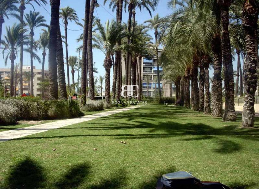 Wiederverkauf - apartment -
Santa Pola - Center