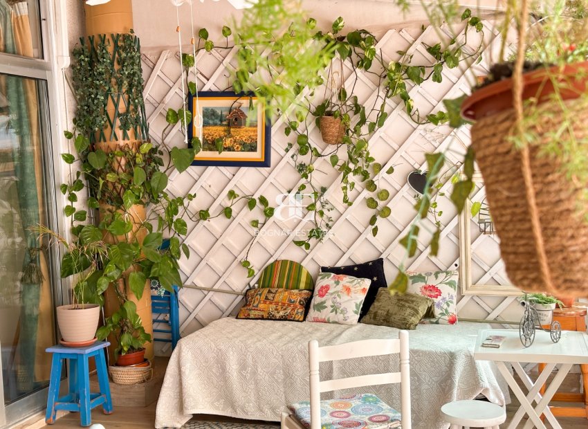 Wiederverkauf - apartment -
Torrevieja - Center