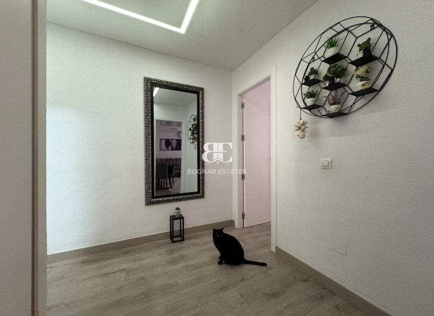 Wiederverkauf - apartment -
Torrevieja - Center