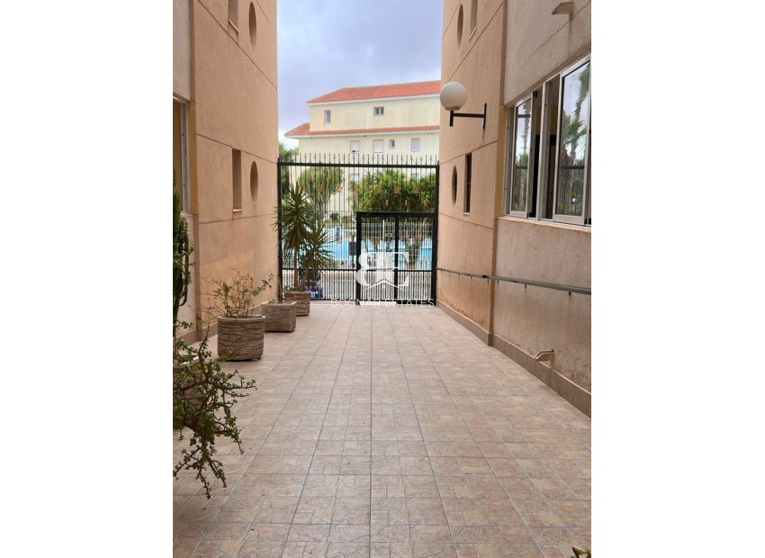 Wiederverkauf - apartment -
Torrevieja - El Chaparral