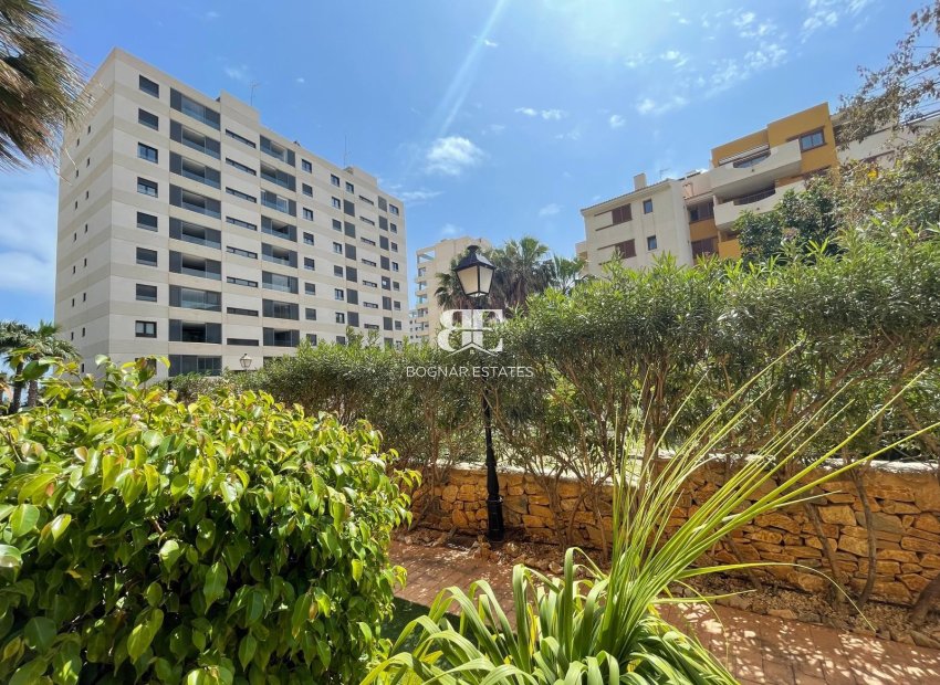 Wiederverkauf - apartment -
Torrevieja - Punta Prima