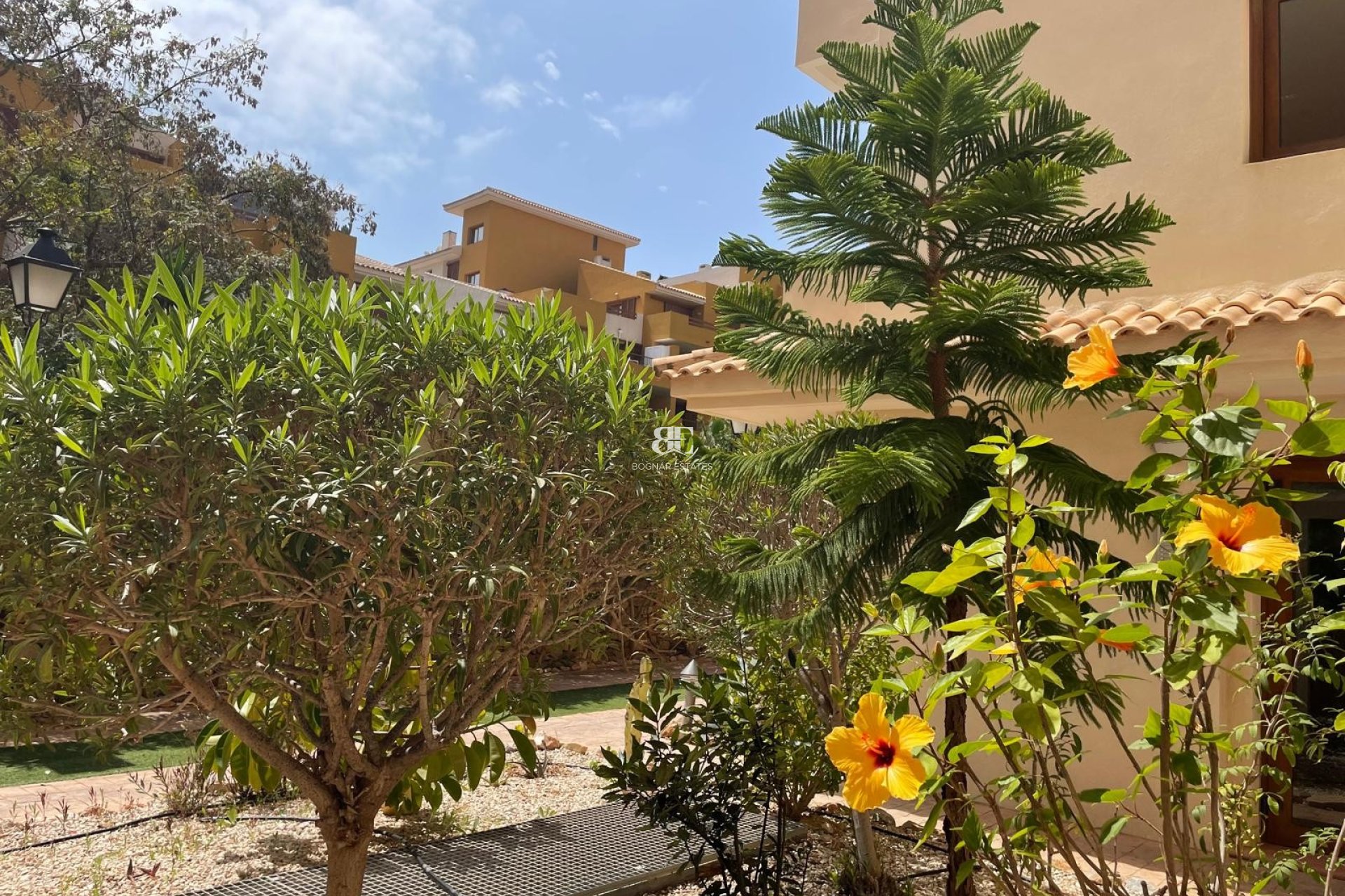 Wiederverkauf - apartment -
Torrevieja - Punta Prima