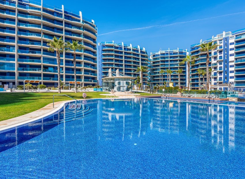 Wiederverkauf - apartment -
Torrevieja - Punta Prima