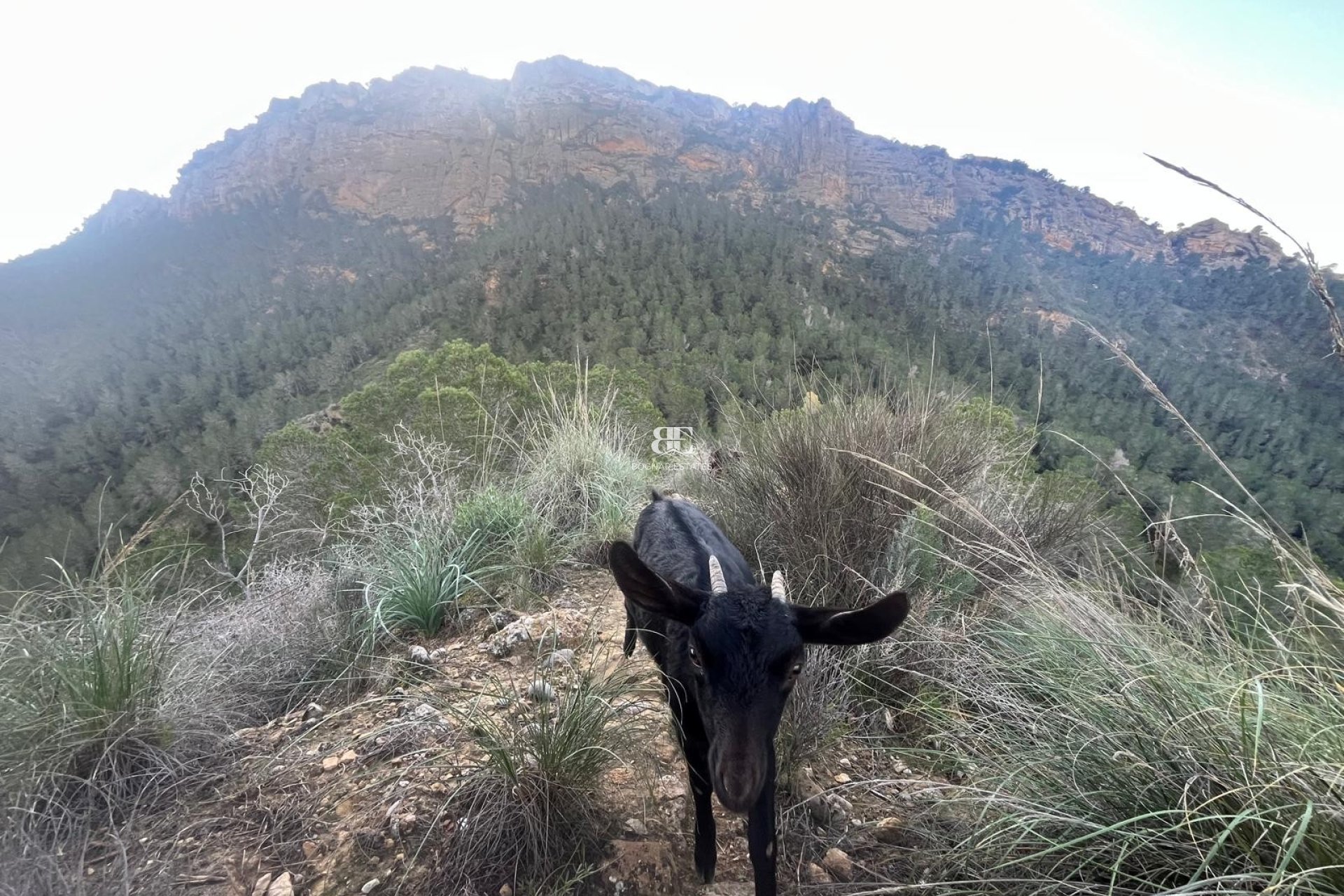 Wiederverkauf - Country House -
Gea Truyols - Gea y Trujols