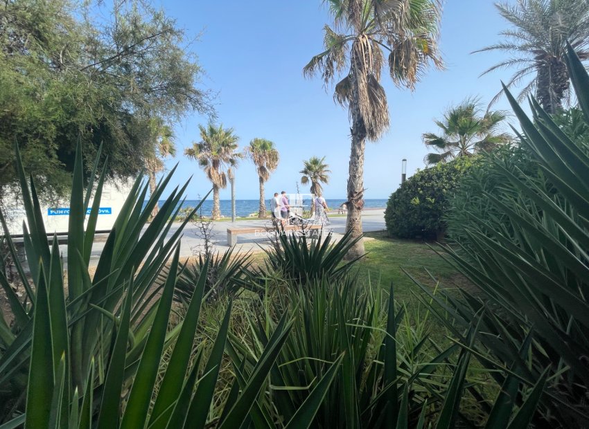 Wiederverkauf - Kommerziell -
Torrevieja - Comunidad Valenciana