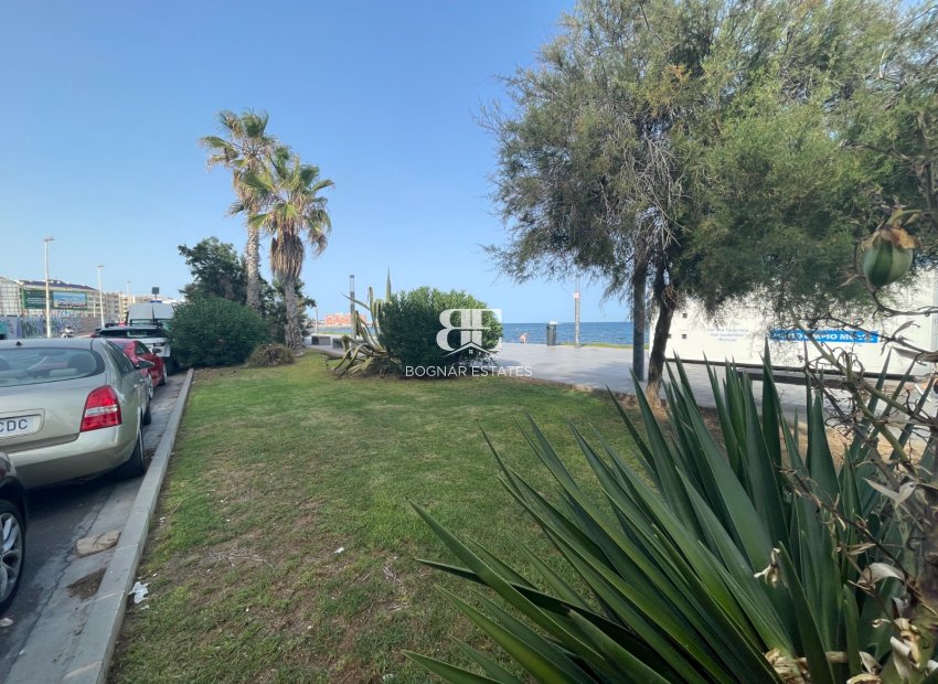 Wiederverkauf - Kommerziell -
Torrevieja - Comunidad Valenciana