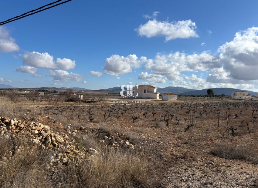 Wiederverkauf - Land -
Pinoso - el Pinós / Pinoso