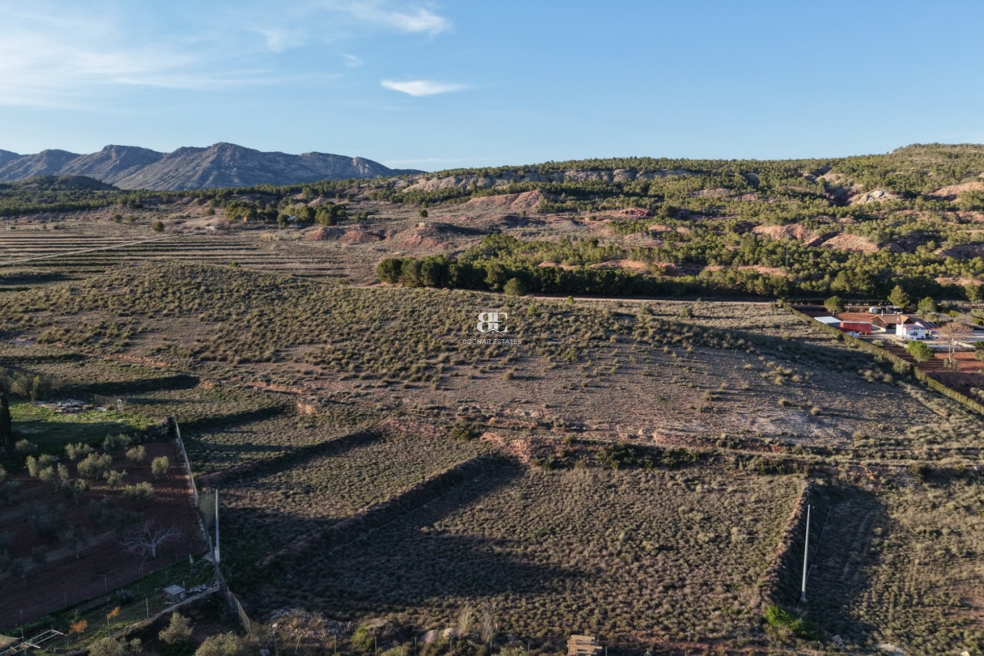 Wiederverkauf - Land -
Yecla