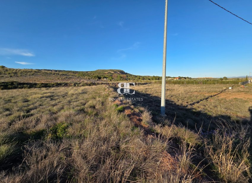 Wiederverkauf - Land -
Yecla