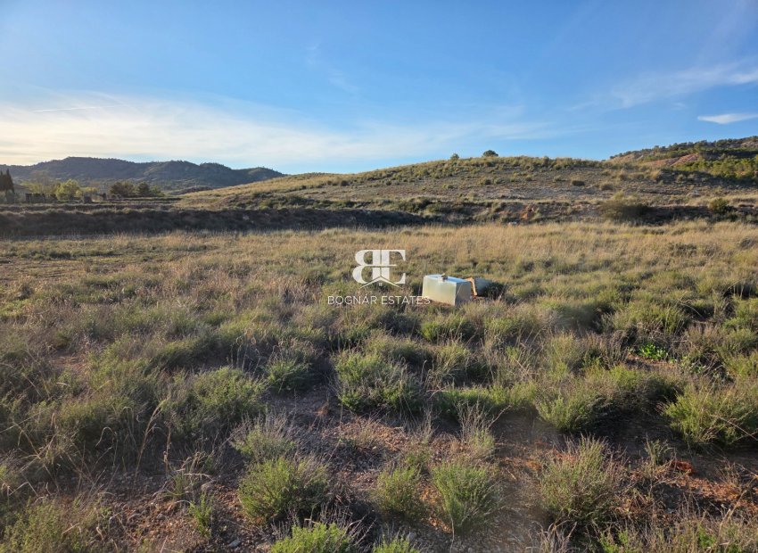 Wiederverkauf - Land -
Yecla