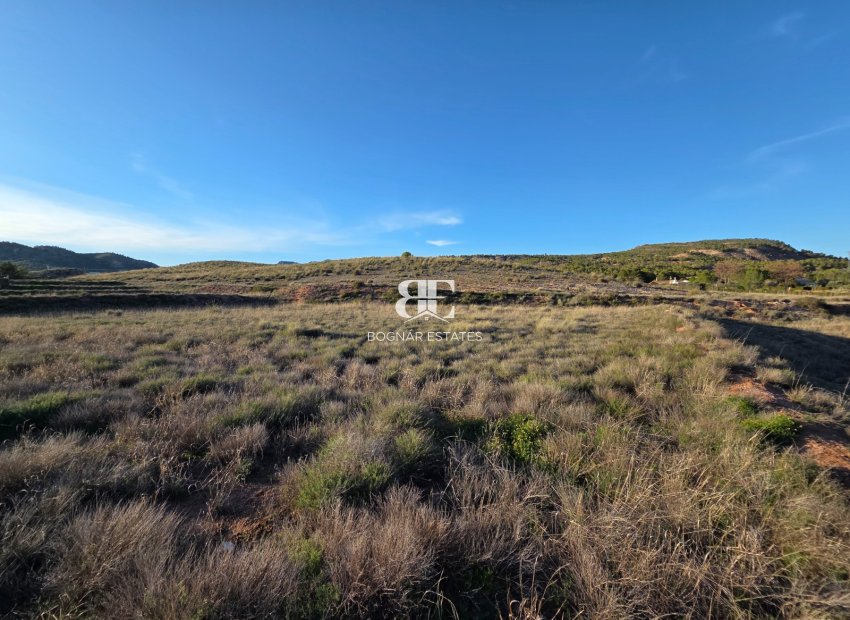 Wiederverkauf - Land -
Yecla