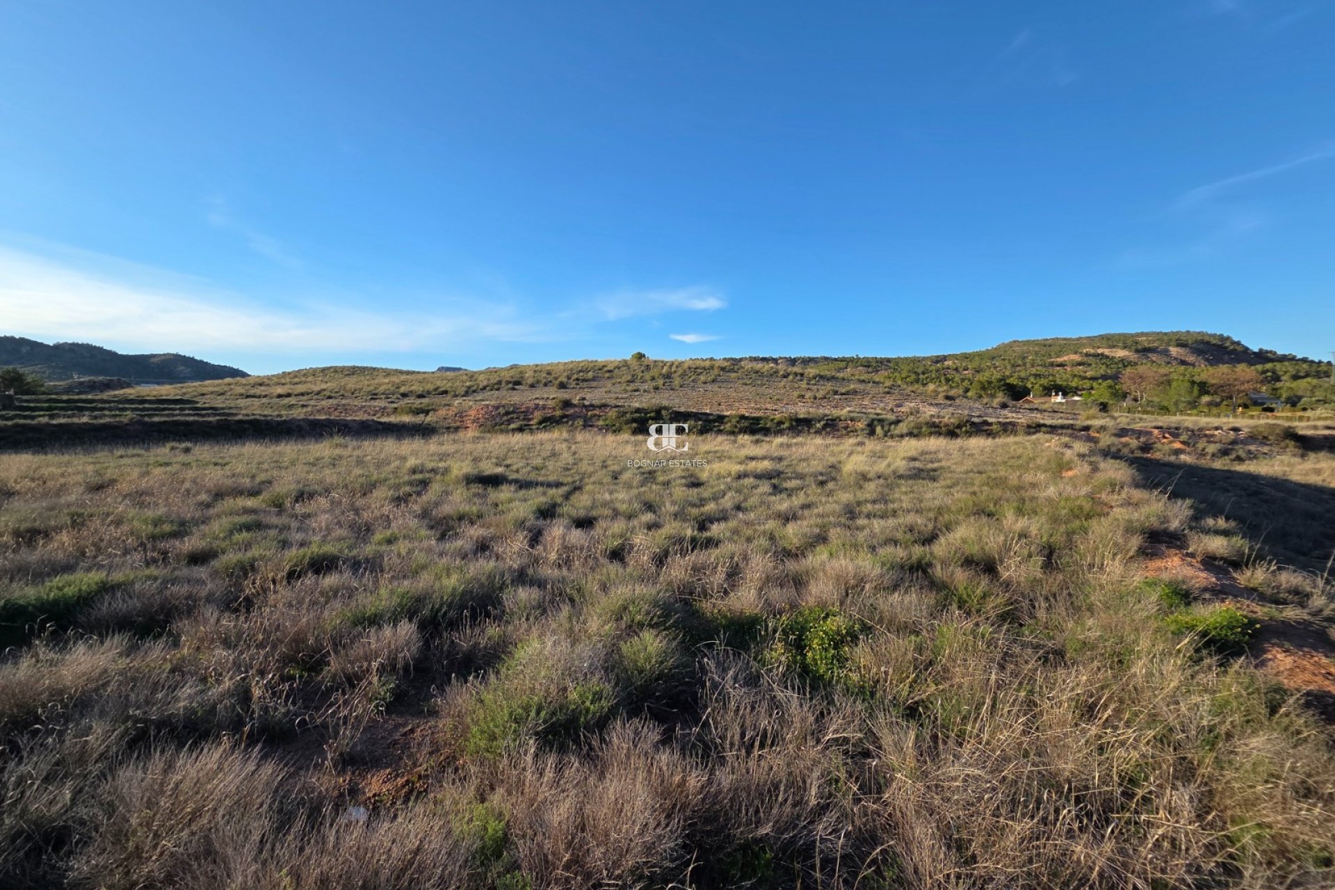 Wiederverkauf - Land -
Yecla