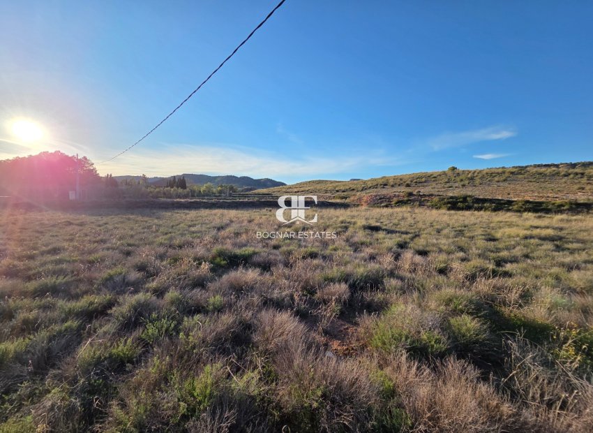 Wiederverkauf - Land -
Yecla