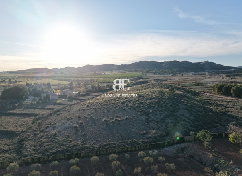 Wiederverkauf - Land -
Yecla