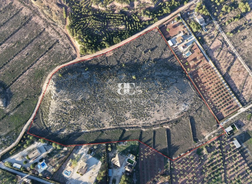 Wiederverkauf - Land -
Yecla