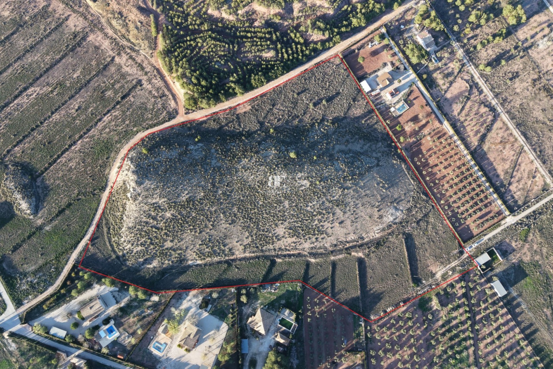 Wiederverkauf - Land -
Yecla