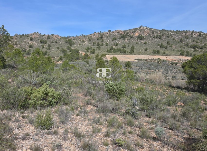 Wiederverkauf - Land -
Yecla