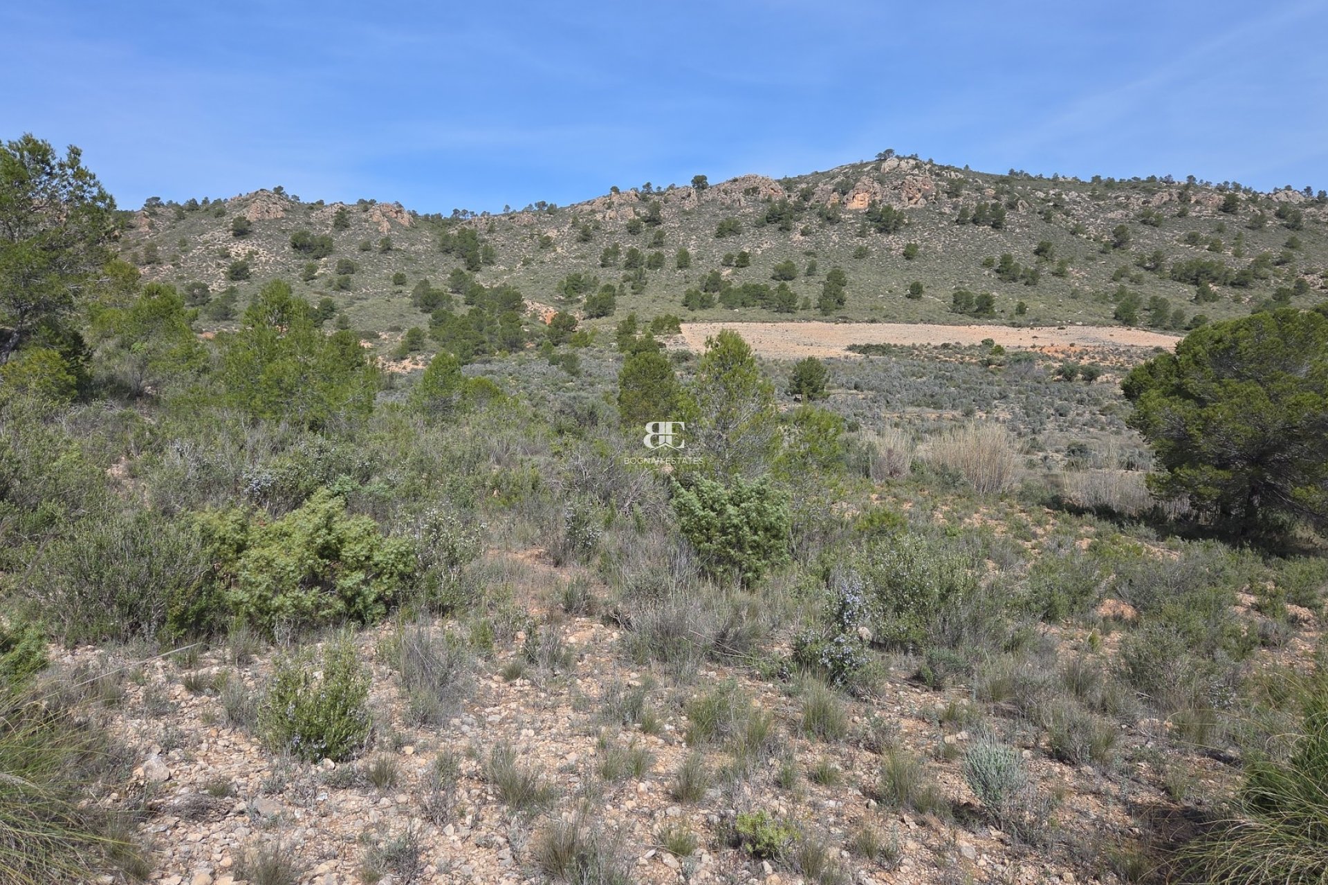 Wiederverkauf - Land -
Yecla