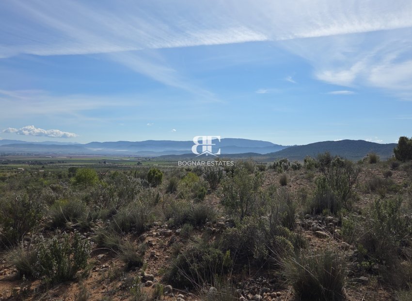 Wiederverkauf - Land -
Yecla